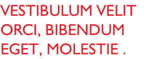 Vestibulum velit orci, bibendum eget, molestie . 
